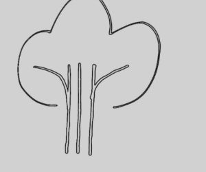 WhatsApp Image 2024-03-27 at 9.56.54 PM